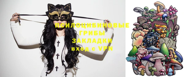jwh Сосновка